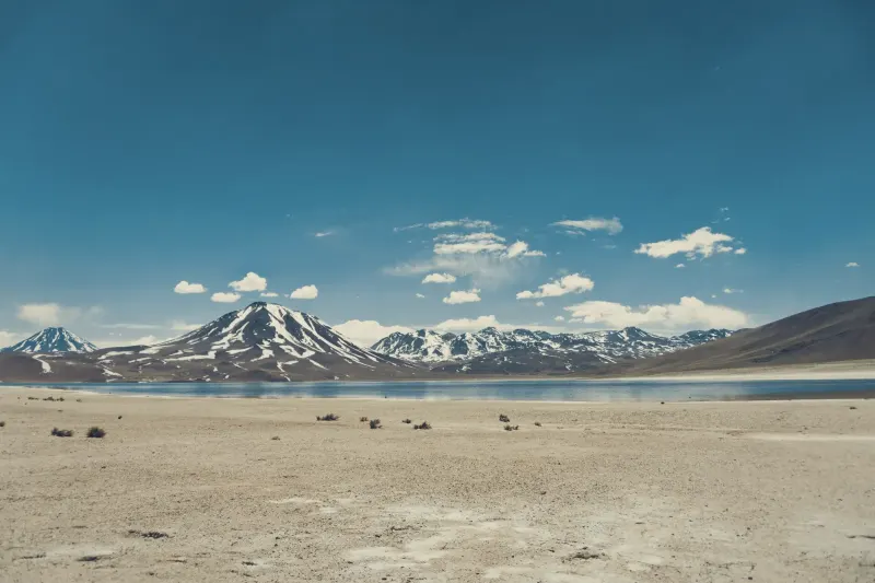 Altiplano boliviano