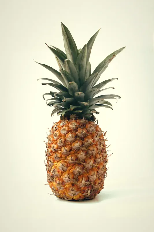 Piña