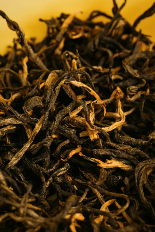 Hoja de té seca